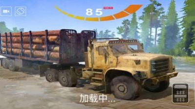 真实模拟卡车中文版