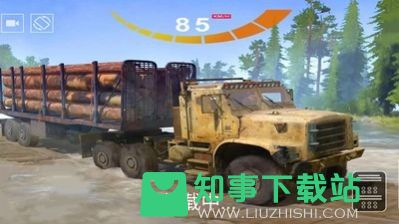 真实模拟卡车中文版